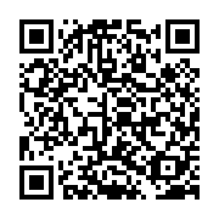 QR code for DPU009