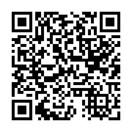 QR code for DPV-300