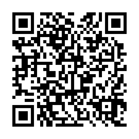QR code for DQJ-317