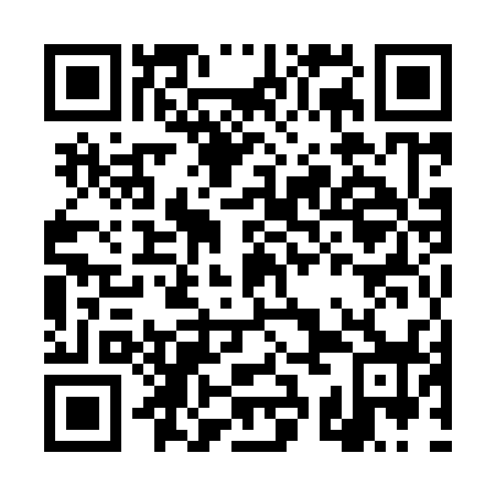 QR code for DSM-938