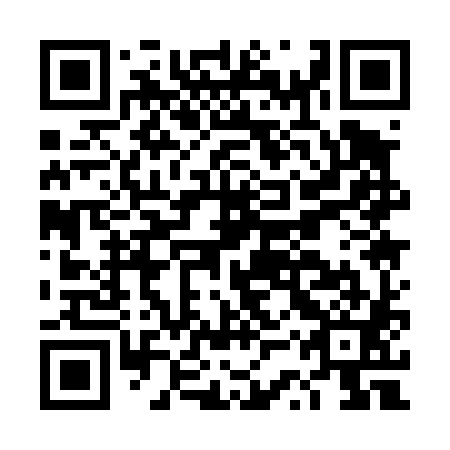 QR code for plate DSQ-481