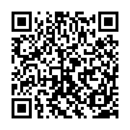 QR code for DSZ-217