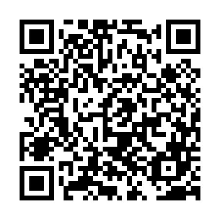 QR code for plate DVE-046