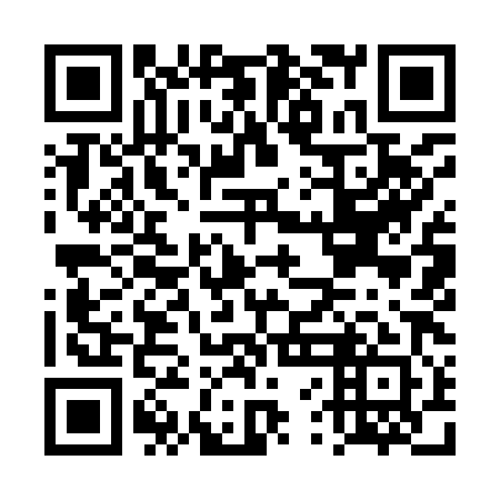 QR code for DVI-981