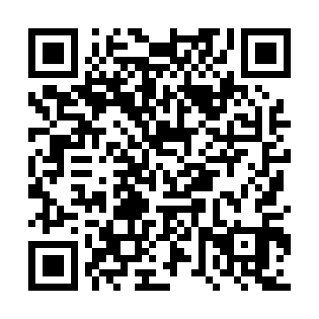 QR code for DVX011
