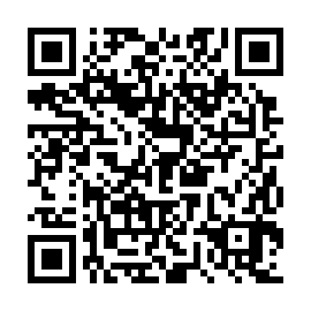 QR code for plate DWB-382