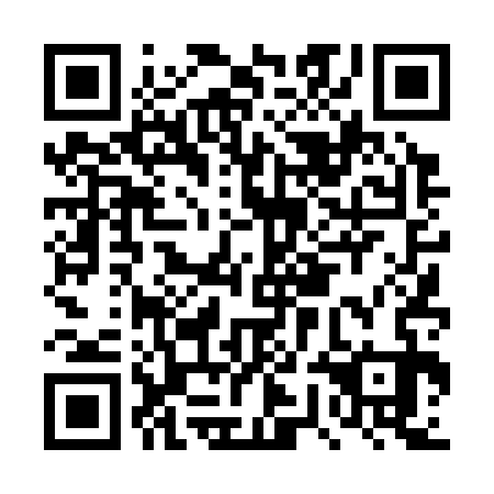 QR code for DWD-333
