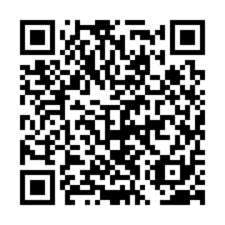 QR code for DWY311