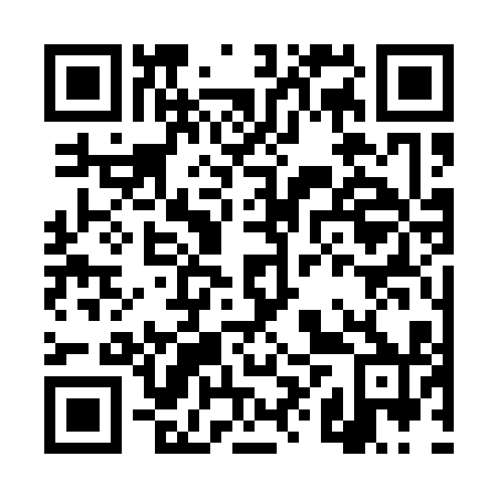 QR code for plate DXS-110