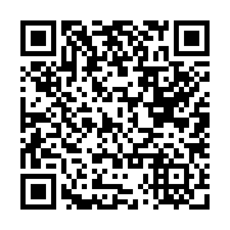 QR code for DXW381