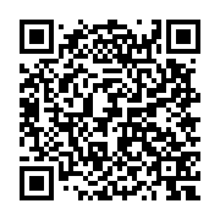QR code for DYE-573