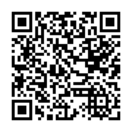 QR code for DYN-315