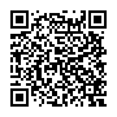 QR code for DYP-509