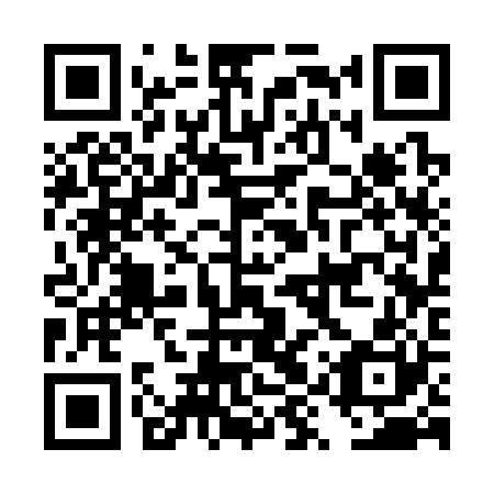 QR code for plate DYS-320