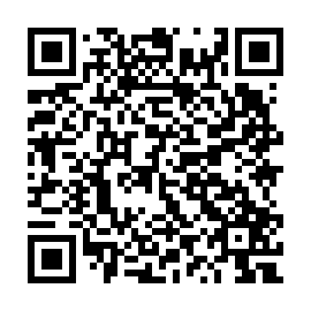 QR code for plate DYY-607