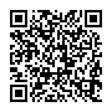 QR code for DZS993