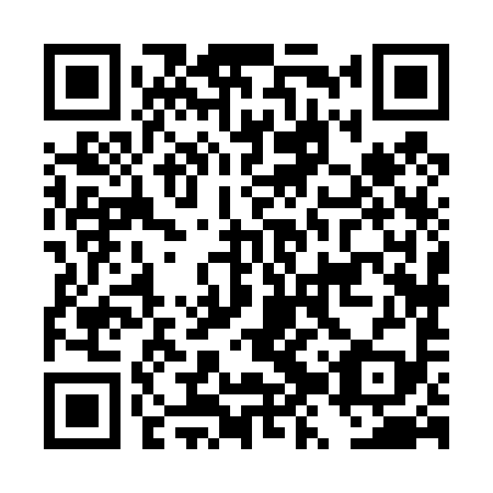QR code for plate DZX-499