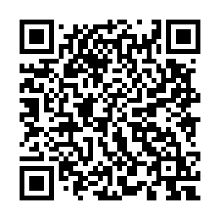 QR code for plate E08-53Z