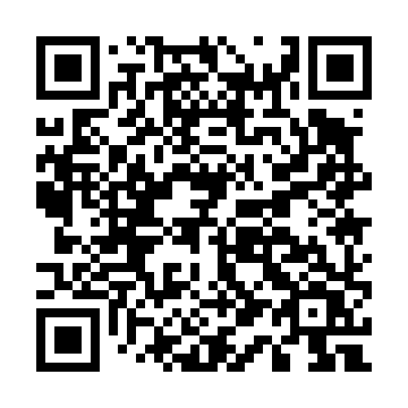 QR code for plate E11-48V