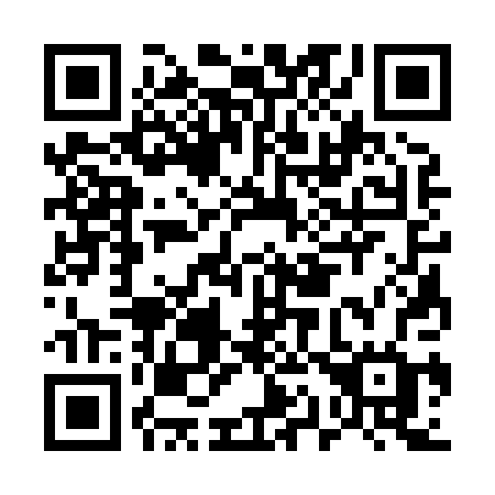 QR code for plate E13-80G