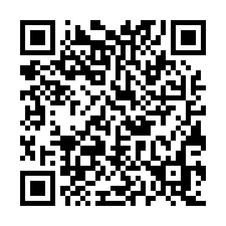 QR code for plate E17-00N