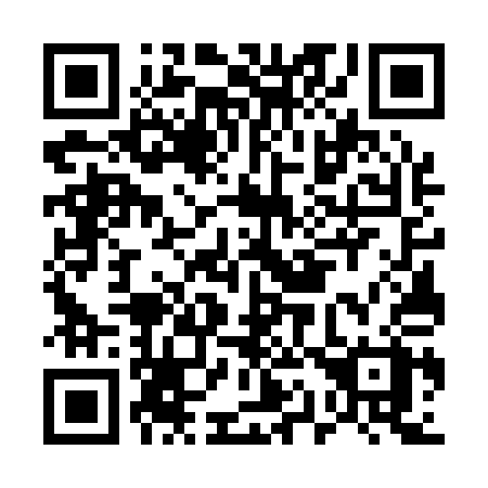 QR code for plate E17-11X