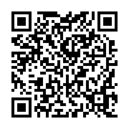 QR code for E38-29N