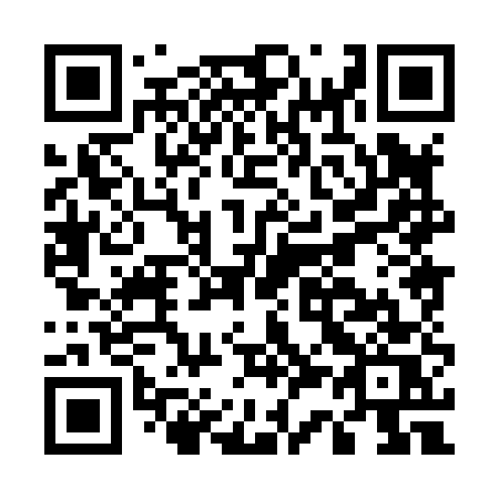 QR code for plate E38-85S