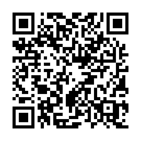 QR code for plate E45-10B
