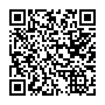 QR code for plate E46-69W