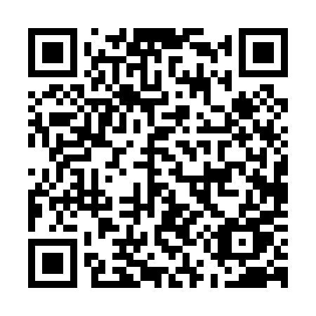 QR code for plate E50-00U