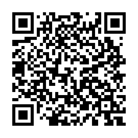 QR code for plate E51-37N