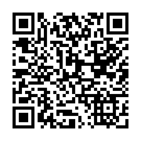 QR code for plate E63-96O