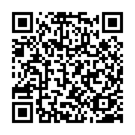QR code for plate E69-11Q