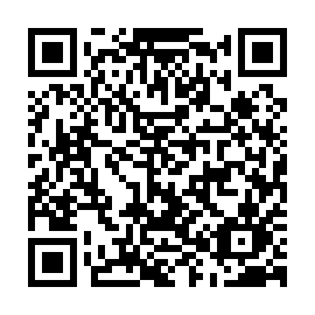 QR code for E85-11N