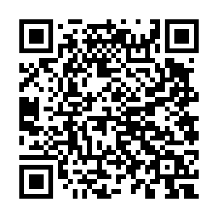 QR code for plate E96-47T