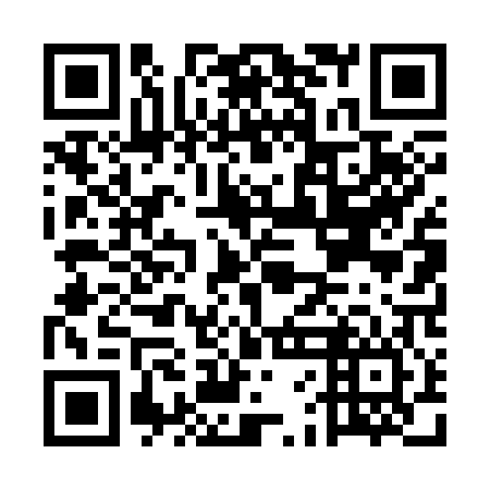 QR code for plate EFD-306