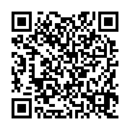 QR code for plate EOX-384