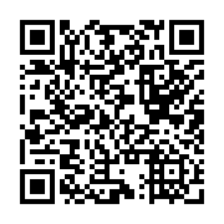 QR code for plate EQQ-919