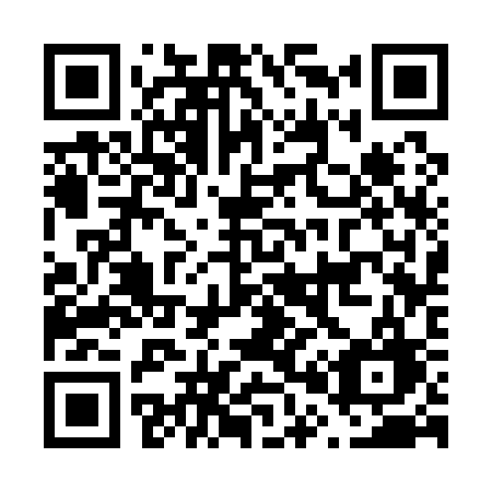 QR code for F0313G