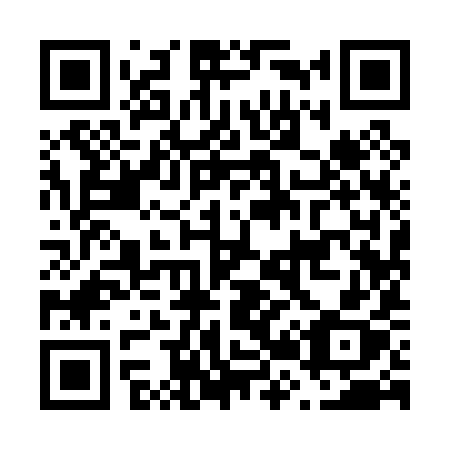 QR code for F29-09X