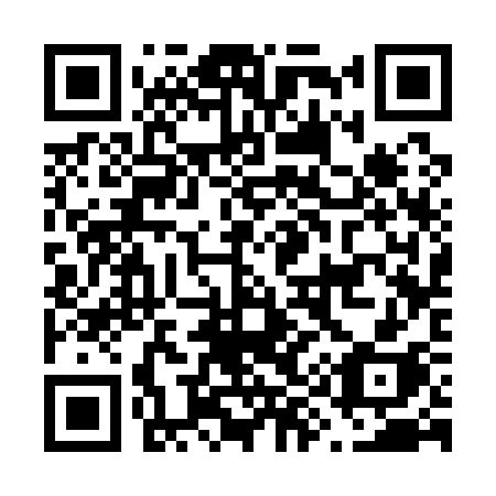 QR code for F9313H