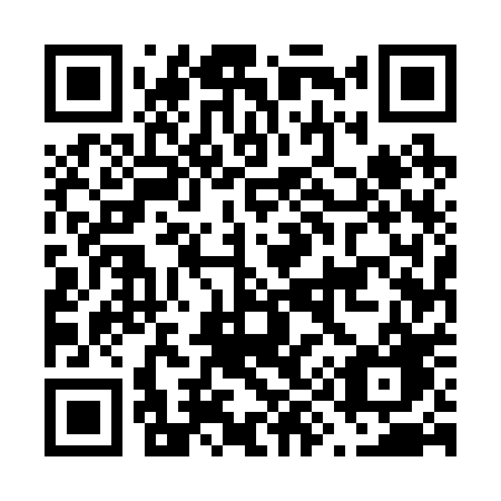 QR code for F95-20G