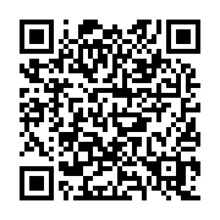 QR code for F96-91H