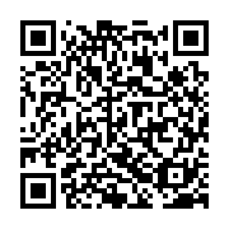 QR code for plate FBM-371