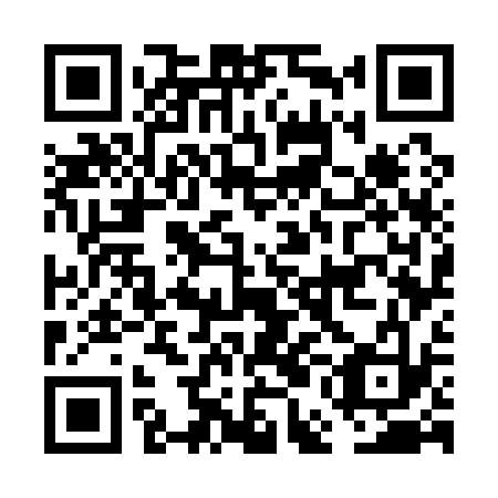 QR code for plate FEG-133