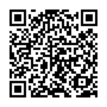 QR code for FEY438