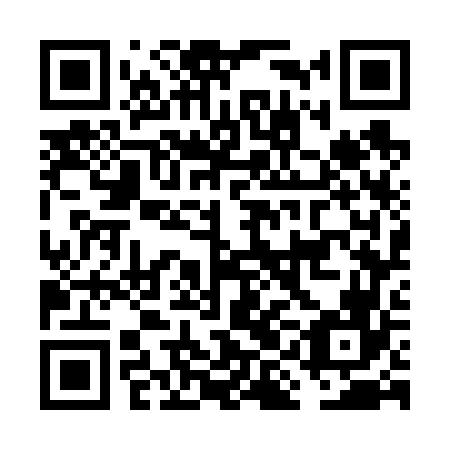 QR code for FIG666