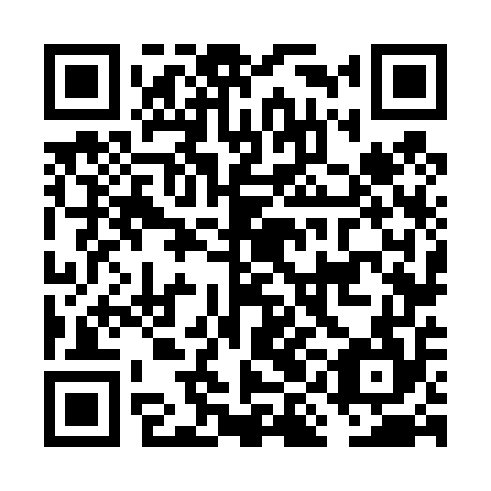 QR code for FIN454