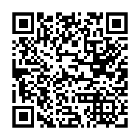 QR code for plate FJD-333